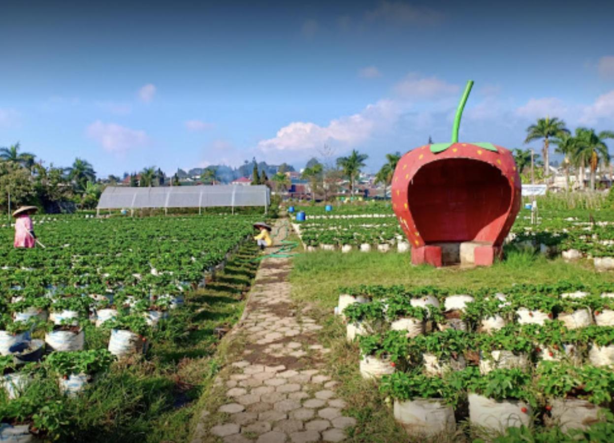 Villa Musti Green Apple Cipanas Sindanglaya 외부 사진